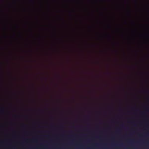 Meet your Posher, Rory